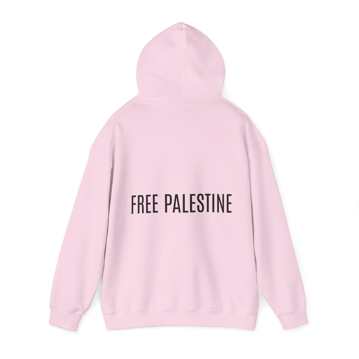 Resistance | Palestine Hoodie