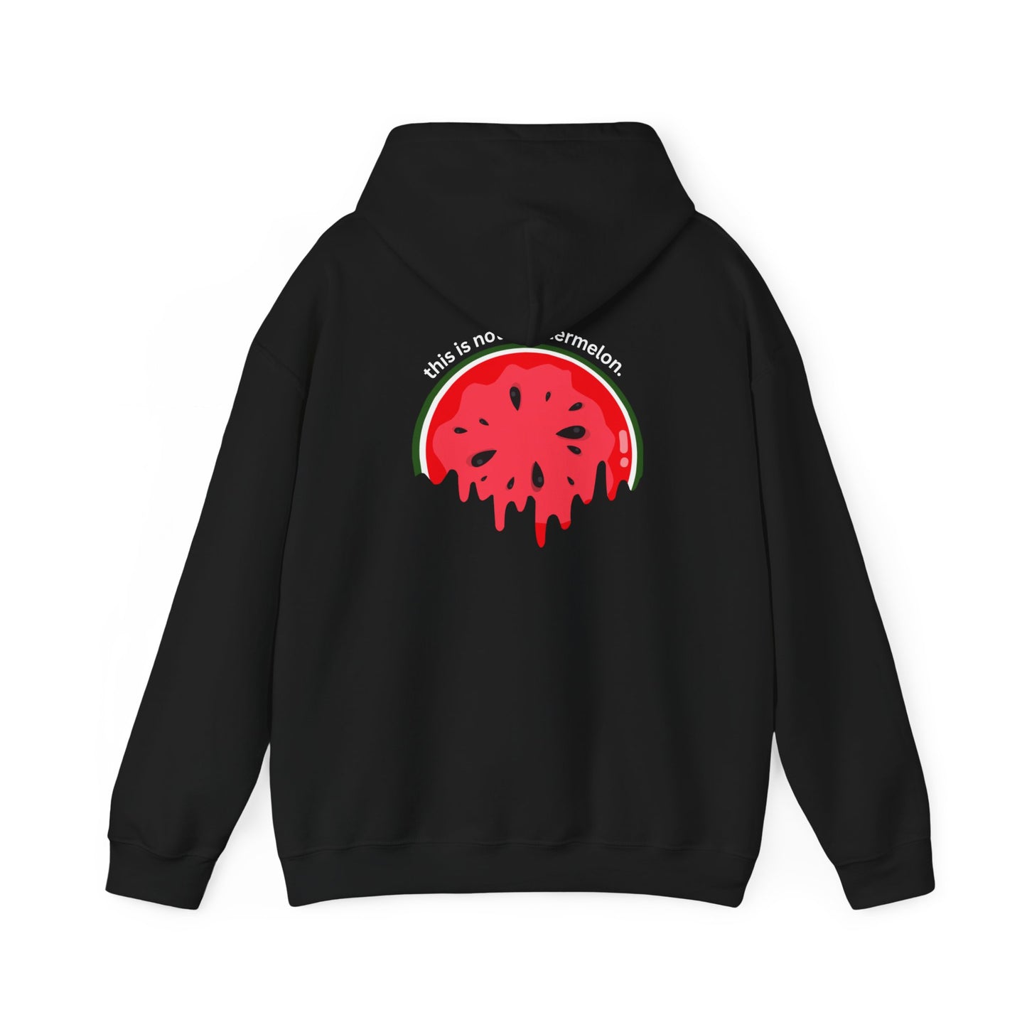 This Is Not A Watermelon | Palestine Hoodie