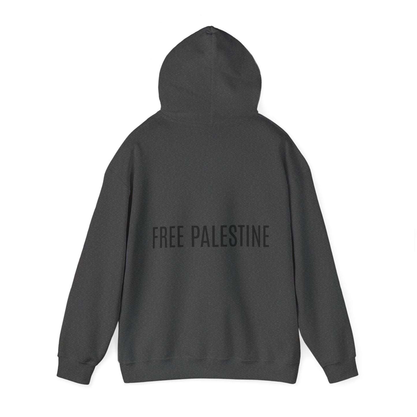 Resistance | Palestine Hoodie