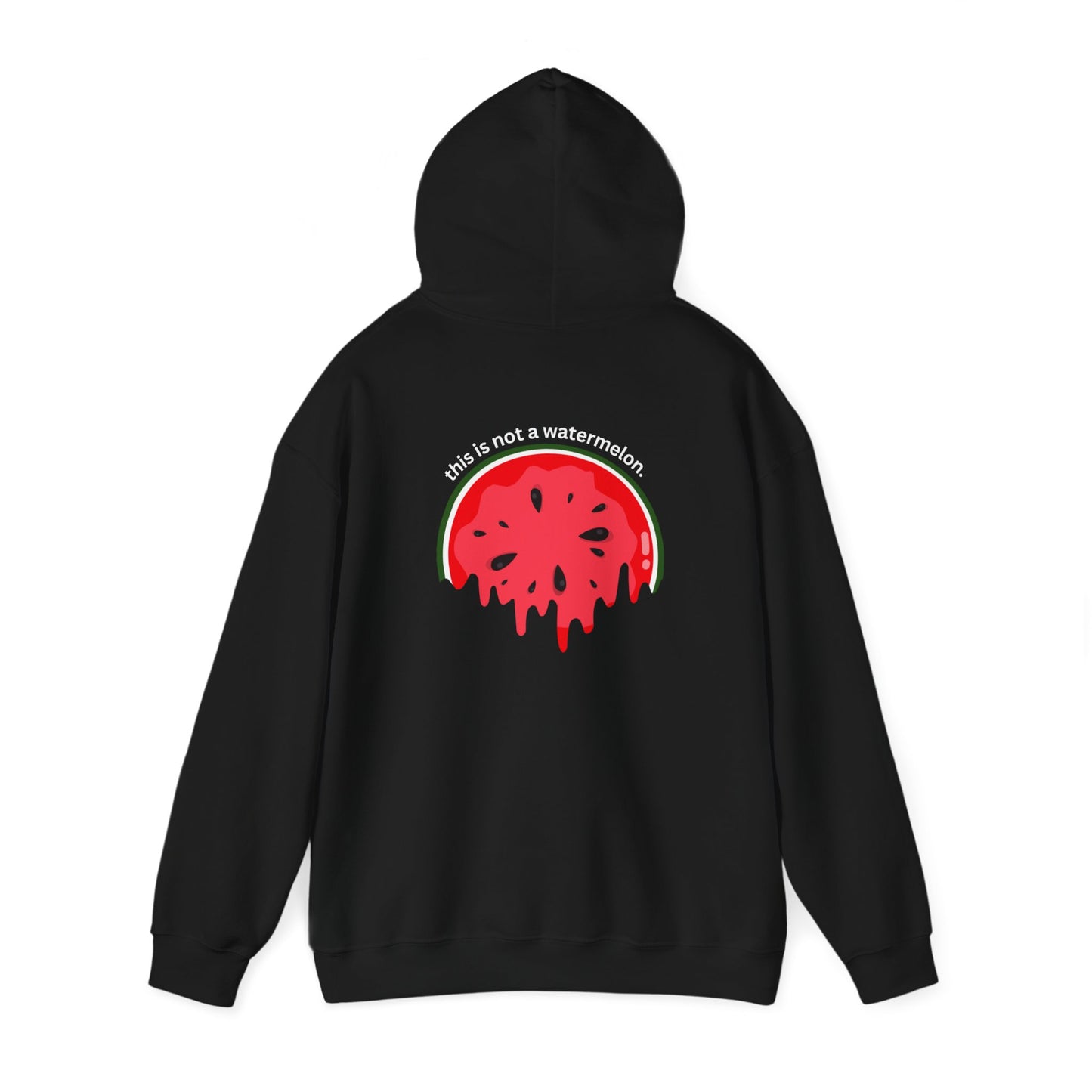 This Is Not A Watermelon | Palestine Hoodie