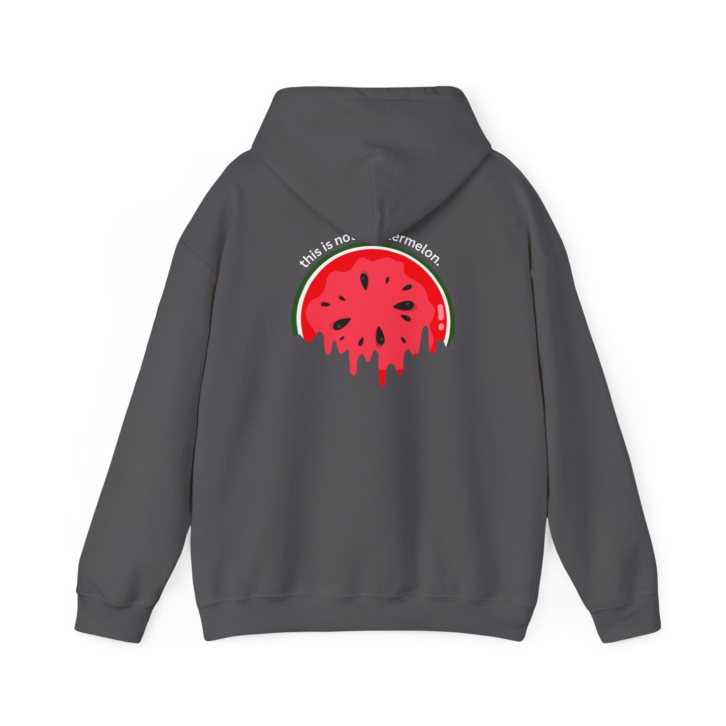 This Is Not A Watermelon | Palestine Hoodie