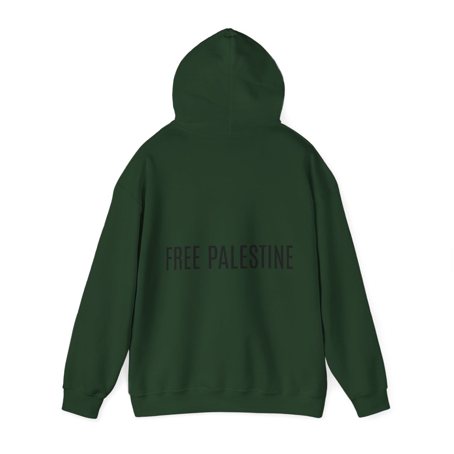 Resistance | Palestine Hoodie