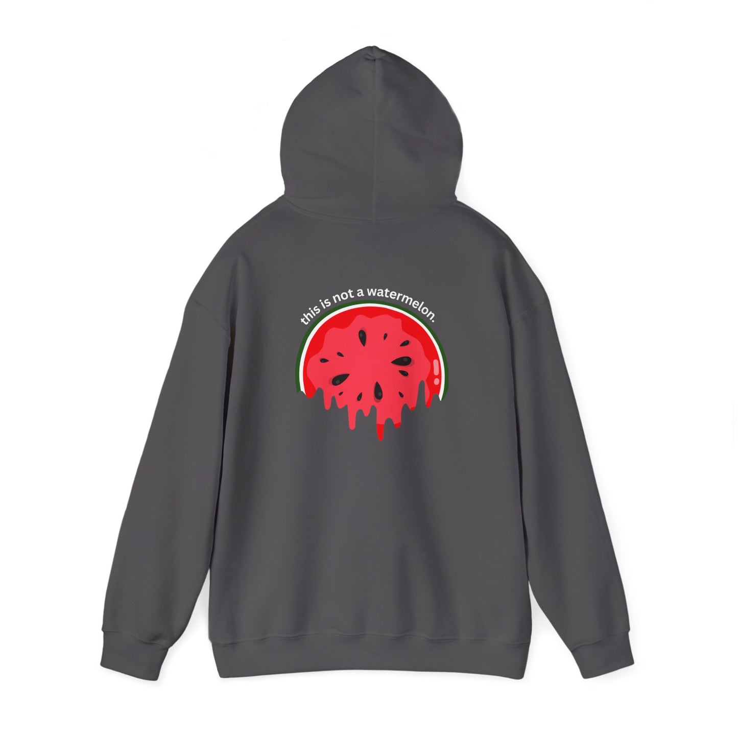 This Is Not A Watermelon | Palestine Hoodie