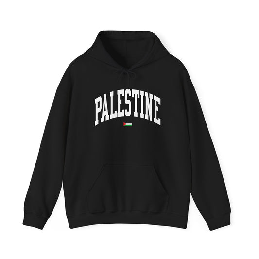 Palestine Sweatshirt | Curved 'Palestine' Design