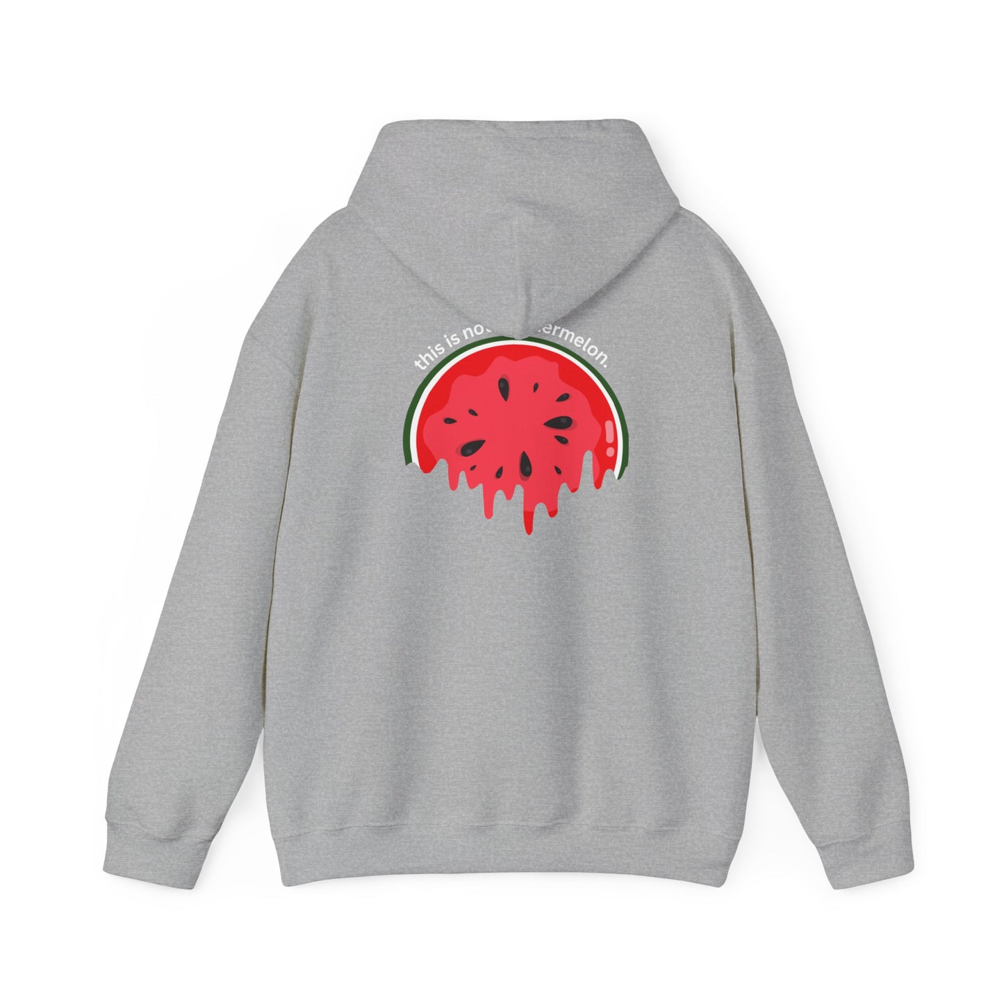 This Is Not A Watermelon | Palestine Hoodie